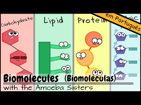 Vídeo: Qual é a diferença entre biomoléculas e macromoléculas?