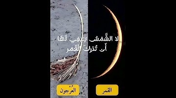 والقمر قدرناه منازل حتى عاد كالعرجون القديم الآية 30 من سورة يس