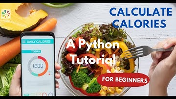 Daily Calorie Calculator || Python for Beginners