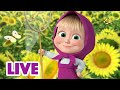 🔴 EN VIVO Masha y el Oso Castellano ☀️ Atrapar los rayos del sol 🌞 Masha and the Bear