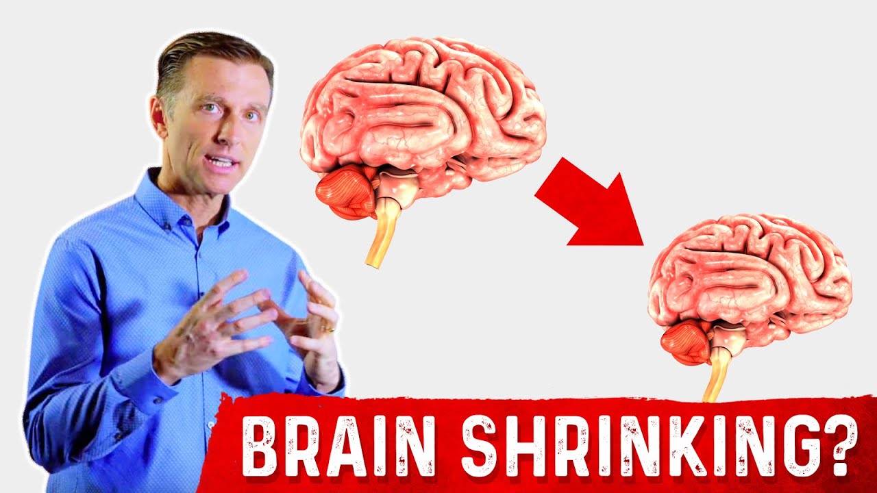 High Blood Sugar Leads To Smaller Brains Dr Berg s Tips To Regenerate