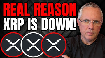 The REAL REASON XRP Price Has Down! Not What You Think XRP RIPPLE Holders!