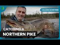 Hunting a predatory northern pike  chasing monsters  s05 ep504  fishing show