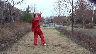 Eagle workout: clearly complete positions, shaolin 13 claws form, kungfu tutorial