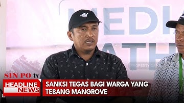 Sanksi Tegas Bagi Warga yang Tebang Mangrove