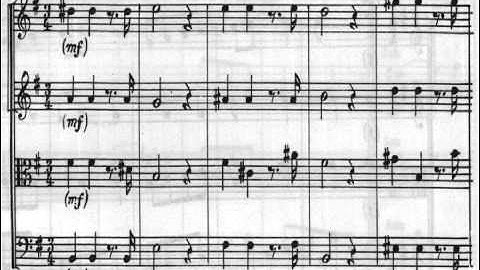 [Zeljko Straka] Vivaldi: Concerto for Strings in G, "Alla Rustica"