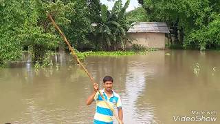 Publised 15/6/2017 lakhimpur banpani | assam flood very sad