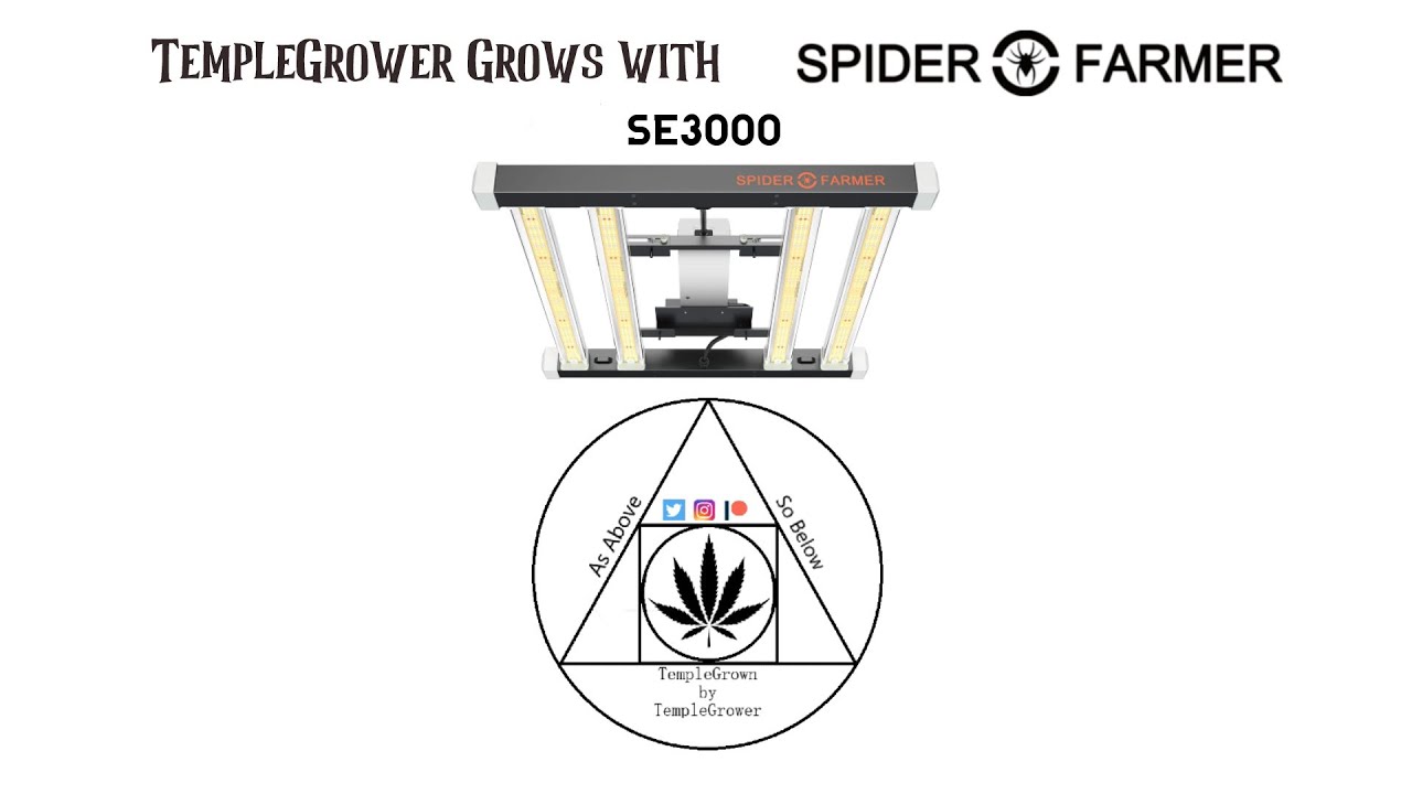 TempleGrower grows with SpiderFarmer - SE3000 UNBOXING