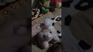 Mi Se Gundo Video De Hoy De Pascua Chauuuuu Uuuuuuu Uuuuuuuuuuuuuuuuuuuuuuuuuuuuuuuuuuuuuuuuuuuuuuuu