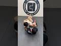 Try out this nasty Americana from closed guard! #bjj #JiuJitsu Mp3 Song