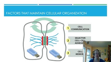 B204: Chapter 20 Part 3 FA16
