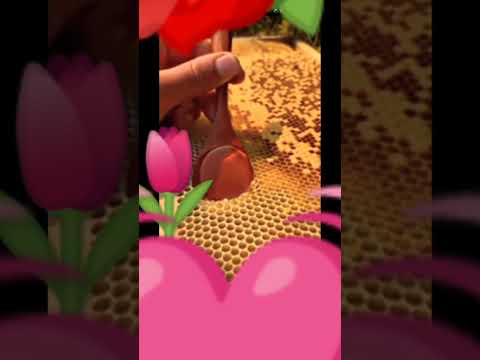 ماشي نتضر منكم حبايبي و لا تنسون حطو لايك واشتراك بقناتي تمام
