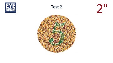 [아이리움안과] 색맹테스트 - 성팀장이 안보이는 이유