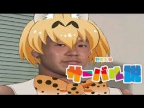 【ごちゃまぜフレンズ】MAD syamu 野獣先輩 野々村竜太郎 コラボ