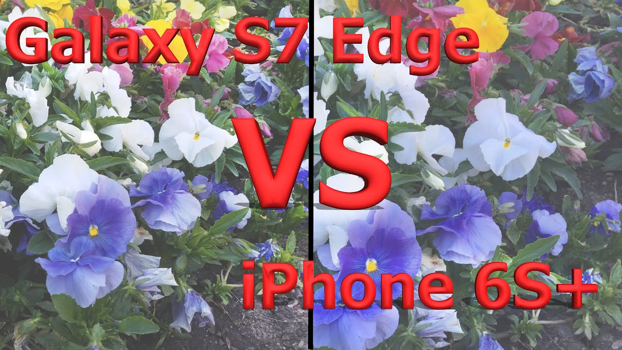 Galaxy S7 Edge vs iPhone 6s Plus - Video Camera Test! - YouTube