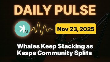 Kaspa Daily (Nov 23) - Whales Keep Stacking as Kaspa Community Splits
