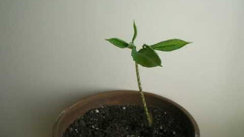 Time lapse photography with Arduino - TeST 2