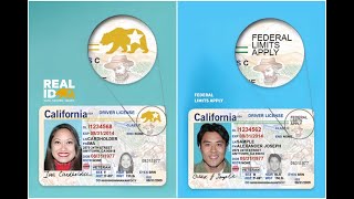 What Is A REAL ID vs. Driver's License?