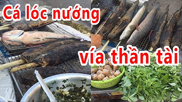 Cá lóc nướng ngày vía thần tài bán đắt như tôm tươi #dctvn