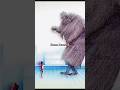 Dada Are Worldwide Doing Kuma Dance Onepiece Kuma Kumadance Dada Are Worldwide Doing Kuma Dance Onepiece Kuma Kumadance
