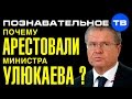 Почему арестовали министра Улюкаева? (Познавательное ТВ, Артём Войтенков)