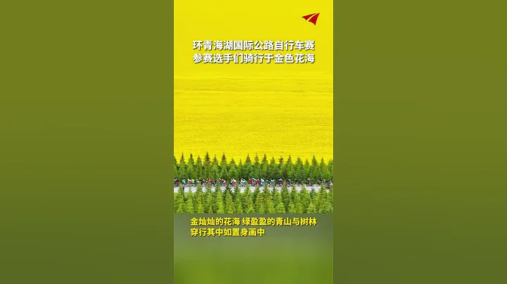 门源回族自治县融媒体中心 穿行其中如置身画中 金灿灿的 #热点新闻事件#新闻#搞笑#真实事件#奇闻趣事#shorts - 天天要闻