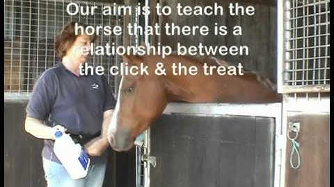 Clicker 101 : Communicating with your horse through groundwork DVD