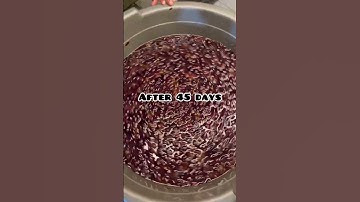 Thumbnail of Homemade Grape Wine 🍷 making recipe @Low cost | Easy Making in Tamil #redwine #healthy #allwinjilly