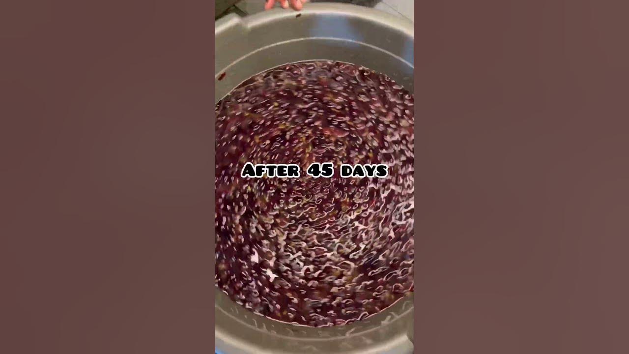 Homemade Grape Wine 🍷 making recipe @Low cost | Easy Making in Tamil #redwine #healthy #allwinjilly