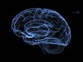 Understanding Alzheimer's and Space Research