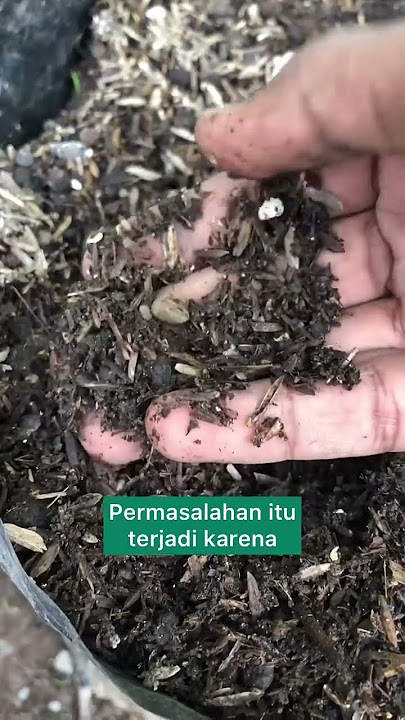 Overcoming Root Rot in Plants