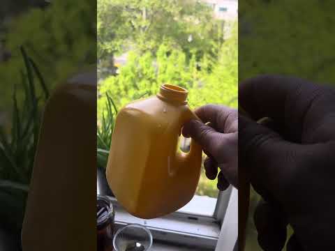 أفضل علاج للقولون العصبي