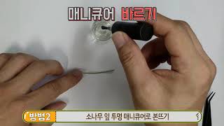 [사이언스올 쇼미더사이언스]소나무숨구멍은 어떻게 생겼을까