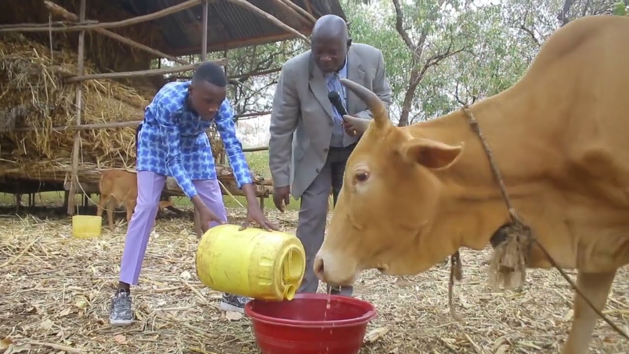 YOHANA ANTONY APEWA NG,OMBE NA BABU YAKE MZEE ROBERT KAMUYA KAMA ZAWADI