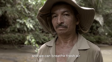 Signify enables carbon offsetting projects (2 minutes)