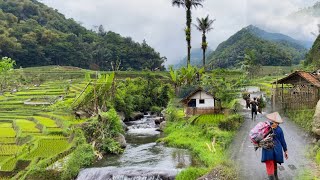 Download Lagu Surga Alam Tersembunyi! Desa, Sawah Hijau dan Sungai Jernih di Tengah Bukit MP3 Download Lagu Surga Alam Tersembunyi! Desa, Sawah Hijau dan Sungai Jernih di Tengah Bukit MP3