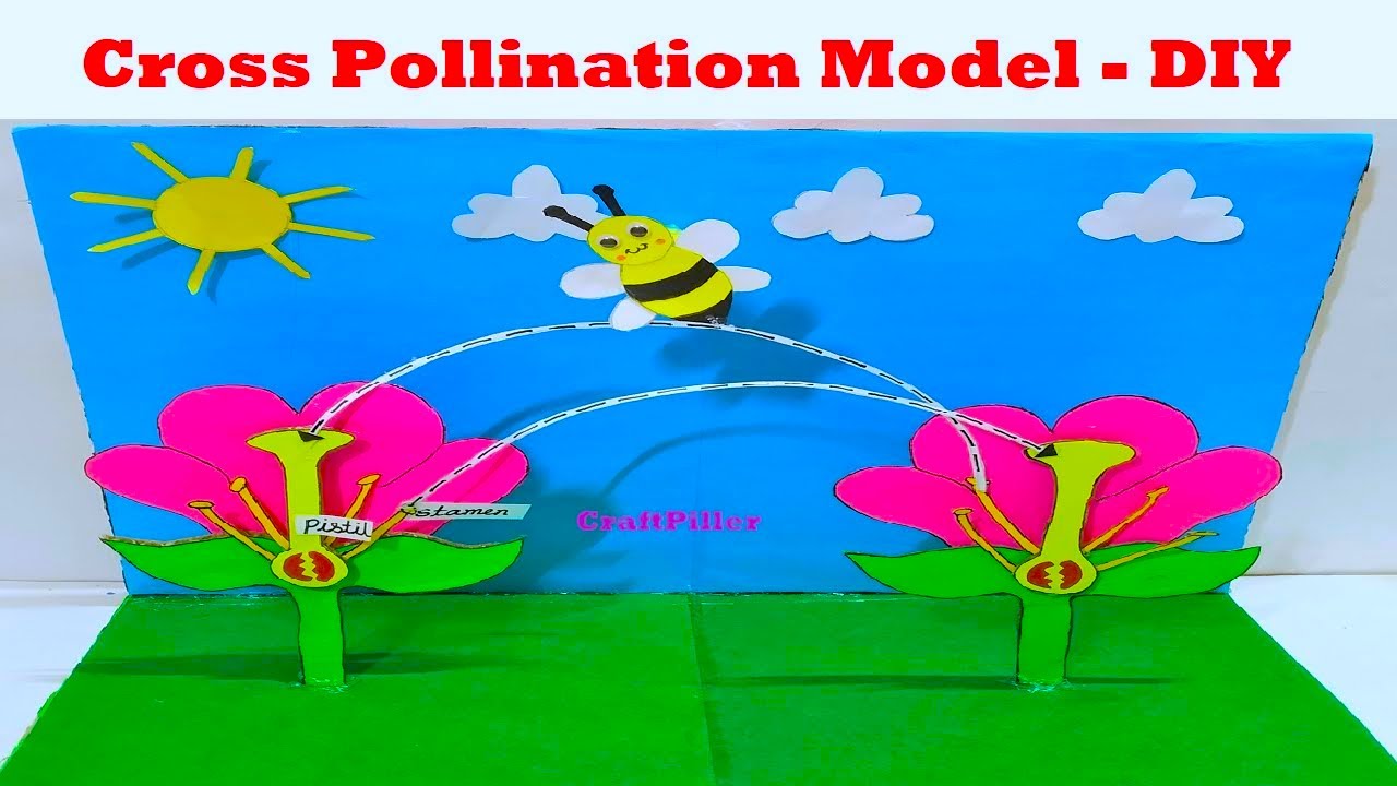Cross-Pollination Projects