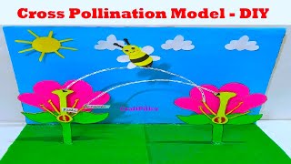 pollination model 3d for science project exhibition | biology projects | craftpiller  | still model