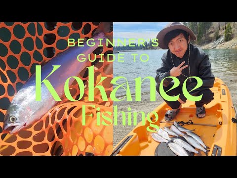 A Beginner's Guide to Kokanee Fishing| Shaver Lake