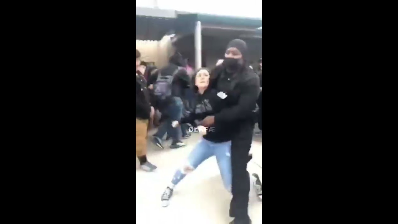 School Fight 