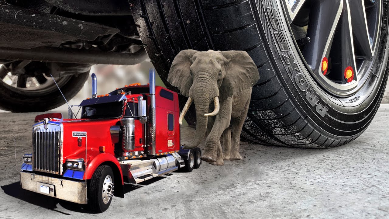 EXPERIMENT BABY ELEPHANT VS CAR TESTS Crushing Crunchy & Soft Things
