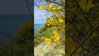 #Счастье в малом.