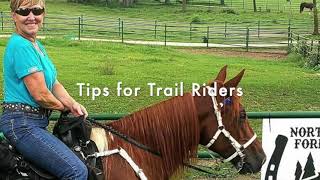 Tack Tips for Trail Riders: Proper Curb Strap Fitting