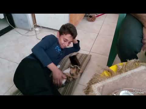 زاد عدد عيلتنا وصرنا اربعه هلق كملت فرحة رعد