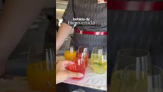 ¿Qué cambia volar en business vs turista? 🤔 Con TURKISH AIRLINES✈️
