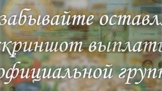 Стратегия работы в Kripto Gold