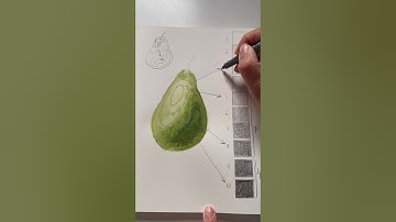 Day 7 Tonal values lesson #watercolorpainting #arttutorial #artteacher #watercolortutorial #sketch