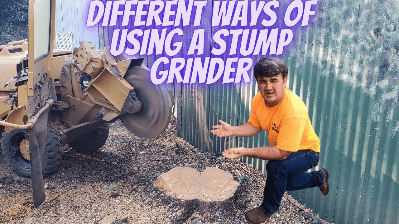 Used stump grinder adding tree work - YouTube