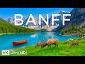 Banff National Park 4K UHD – Turquoise Lakes, Glacier Peaks, Pine Forests and Scenic Alpine Views