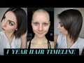 1 Year Hair Growth Timeline (Bald & No Eyebrows)